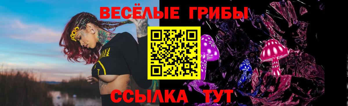 Псилоцибиновые грибы Cubensis  Вход с VPN  Златоуст 